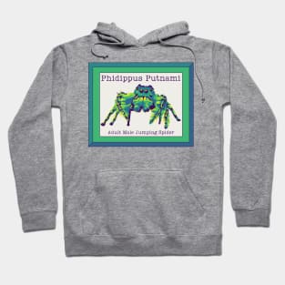 Phidippus Putnami - Jumping Spider Hoodie